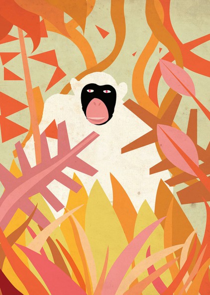 Plakat Małpa Plakat Małpa