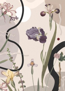 Plakat Iris