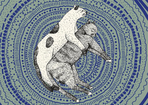 Plakat Dwa koty Plakat Dwa koty