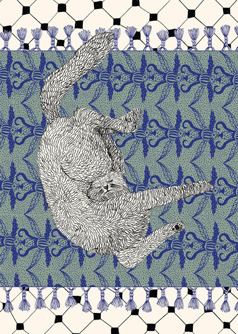 Plakat Dziwny kot