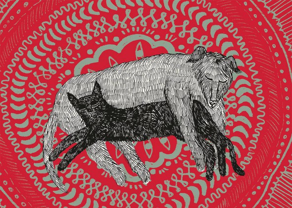 Plakat Kot i pies Plakat Kot i pies