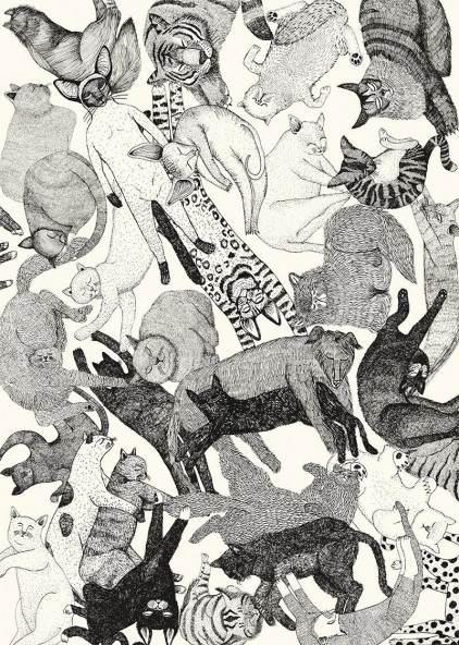 Plakat Koty Plakat Koty