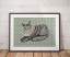 Maine Coon Maine Coon
