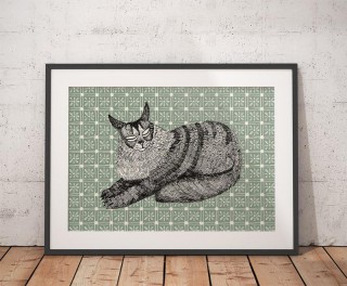 Plakat Maine Coon 2