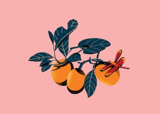 Peaches
