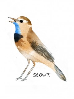 Słowik