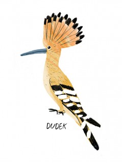 Plakat Dudek