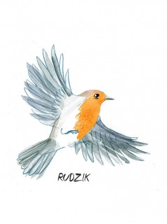Rudzik