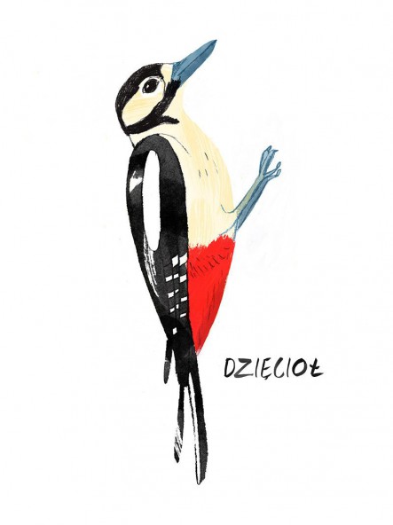 Plakat Dzięcioł Plakat Dzięcioł