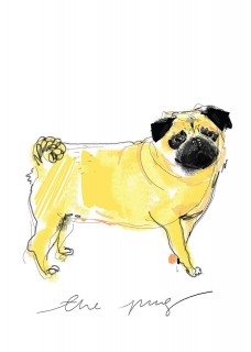 Mops