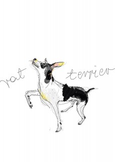 Terier