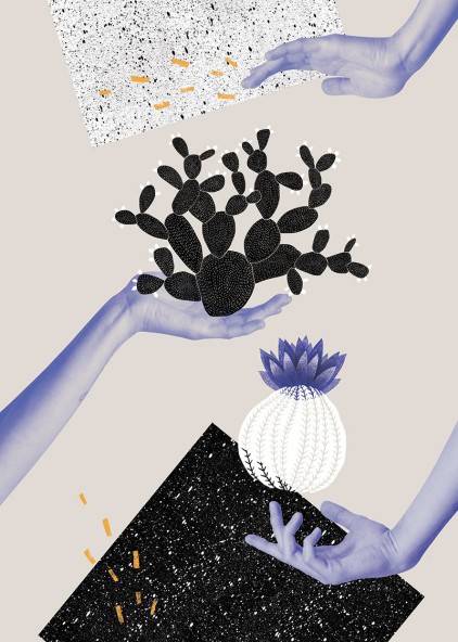 Plakat Kaktus na dłoni II