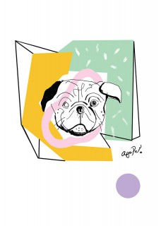 Mops