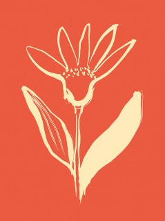 Plakat Lato