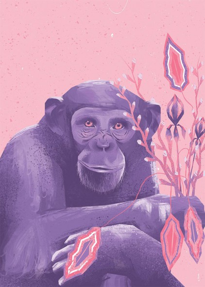 Plakat Małpa Plakat Małpa