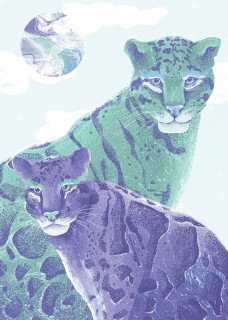 Plakat Leopardy