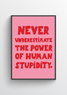 Stupidity 2