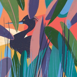 Plakat Bird