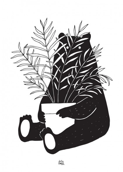 Miś i roślinka Miś i roślinka