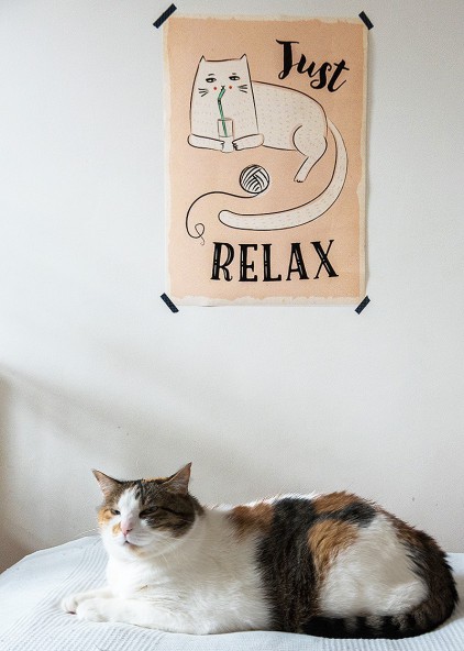 Just relax Just relax