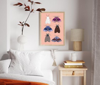 Moths 2
