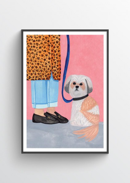 Pies i moda Pies i moda