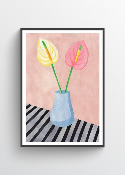 Anthurium Anthurium