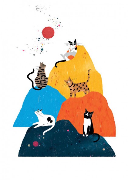 Plakat Koty