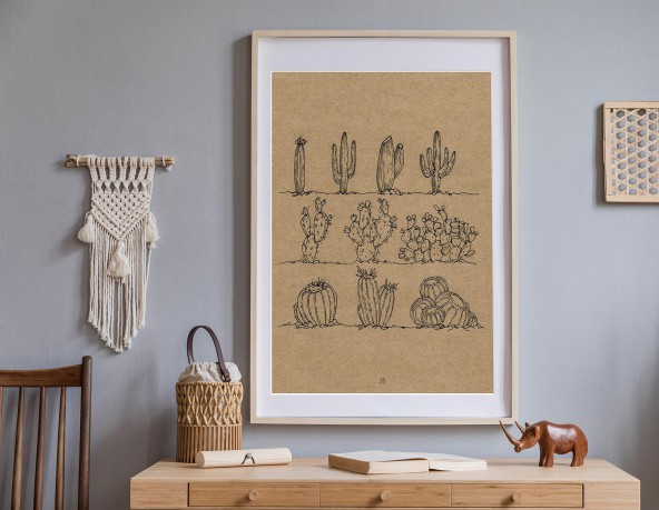 Cacti Cacti