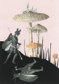 Plakat Grzyby