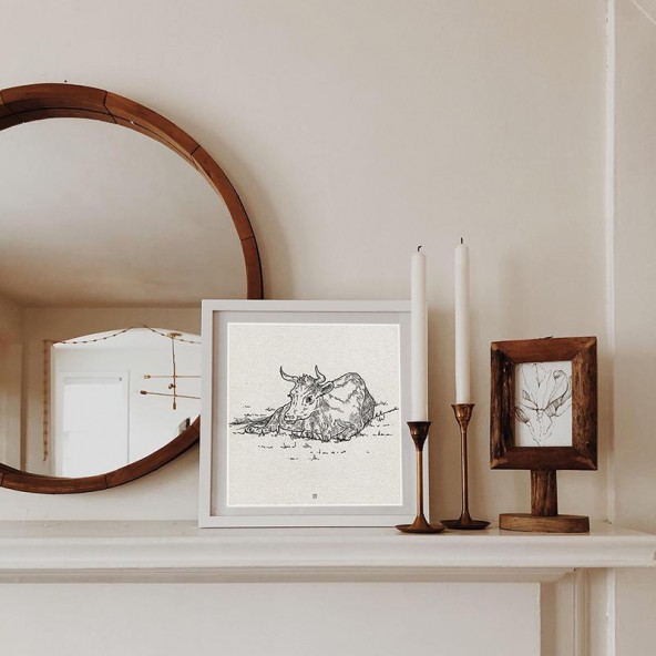 Cattle on grass Cattle on grass