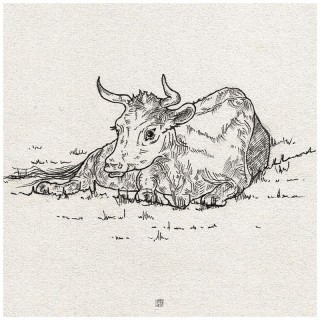 Plakat Cattle on grass