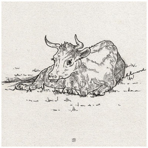 Plakat Cattle on grass Plakat Cattle on grass