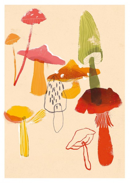 Plakat Grzyby Plakat Grzyby