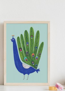 Peacock 2