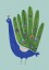 Peacock Peacock