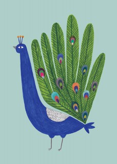 Peacock