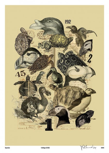 Species Species