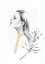 Profile Profile