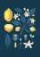 Plakat Cytryny I Plakat Cytryny I