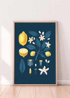 Plakat Cytryny I 2