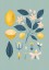 Plakat Cytryny II Plakat Cytryny II
