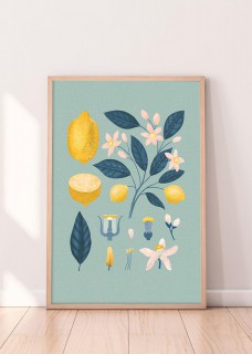 Plakat Cytryny II 2