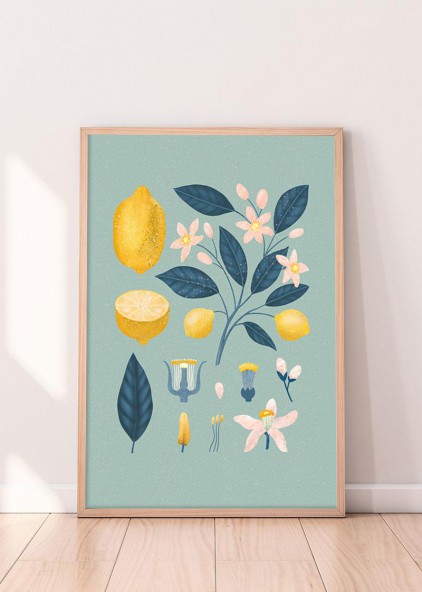 Cytryny II Cytryny II