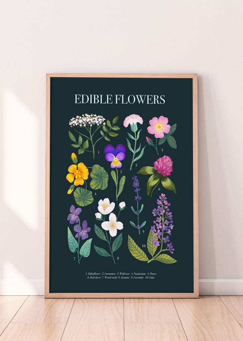 Plakat Kwiaty jadalne
