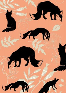Renard