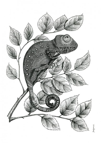 Plakat Kameleon II Plakat Kameleon II