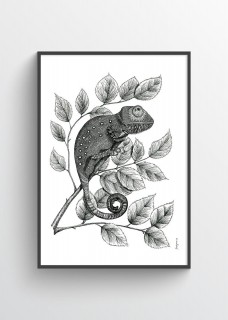 Plakat Kameleon II 2