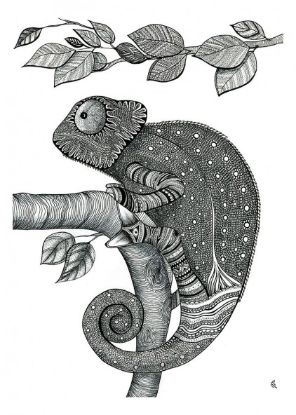 Plakat Kameleon I