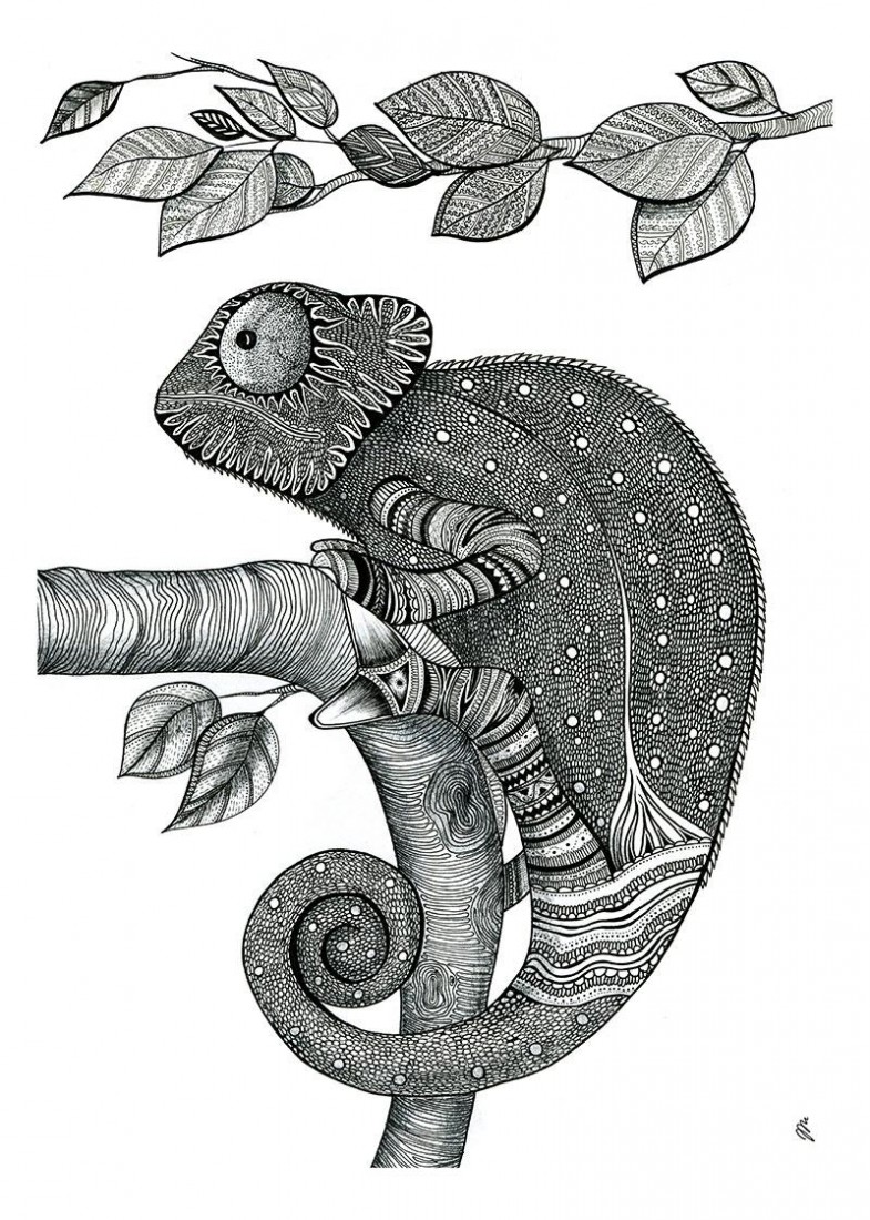 Plakat Kameleon I